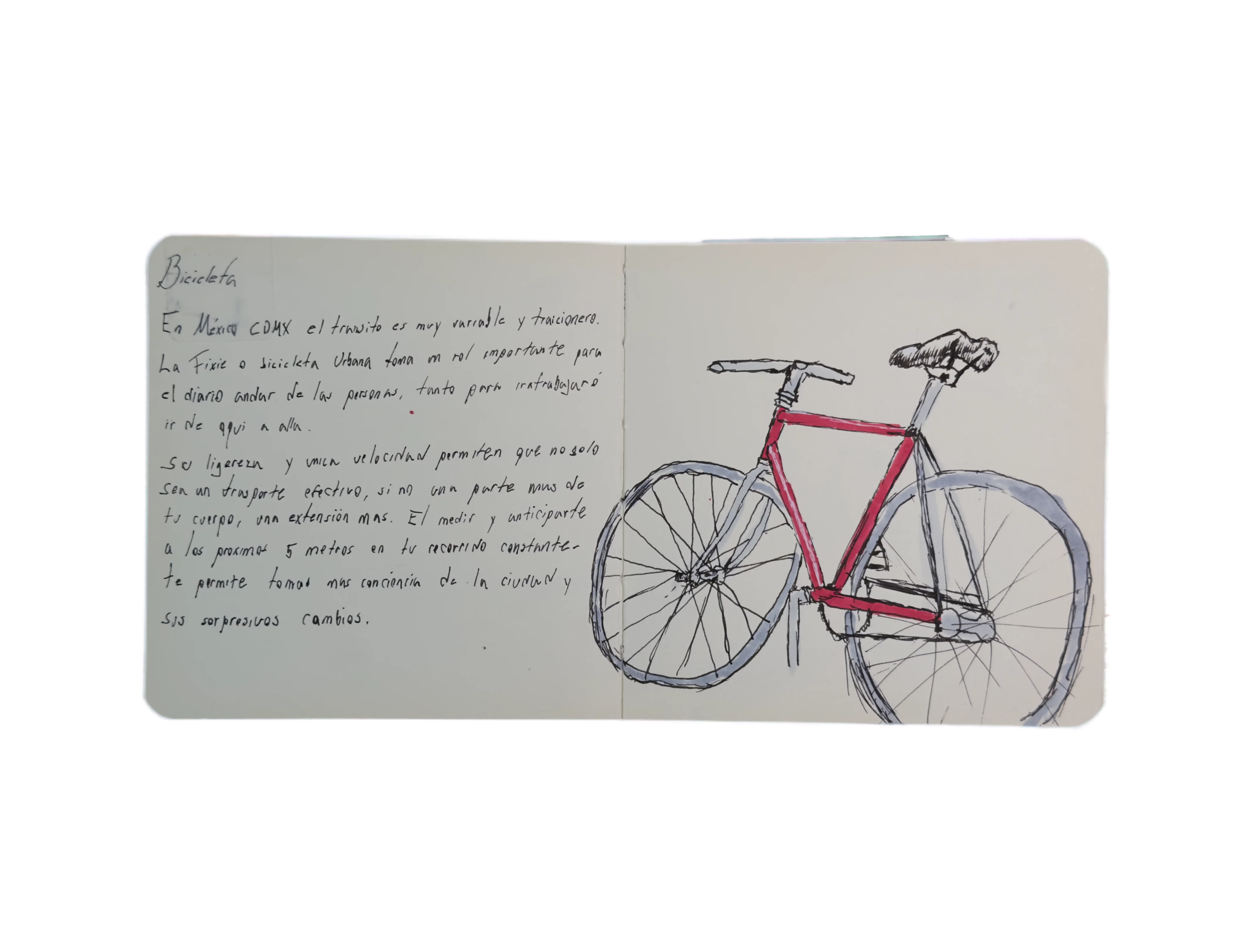 Página 16: La Fixie Urbana (CDMX)