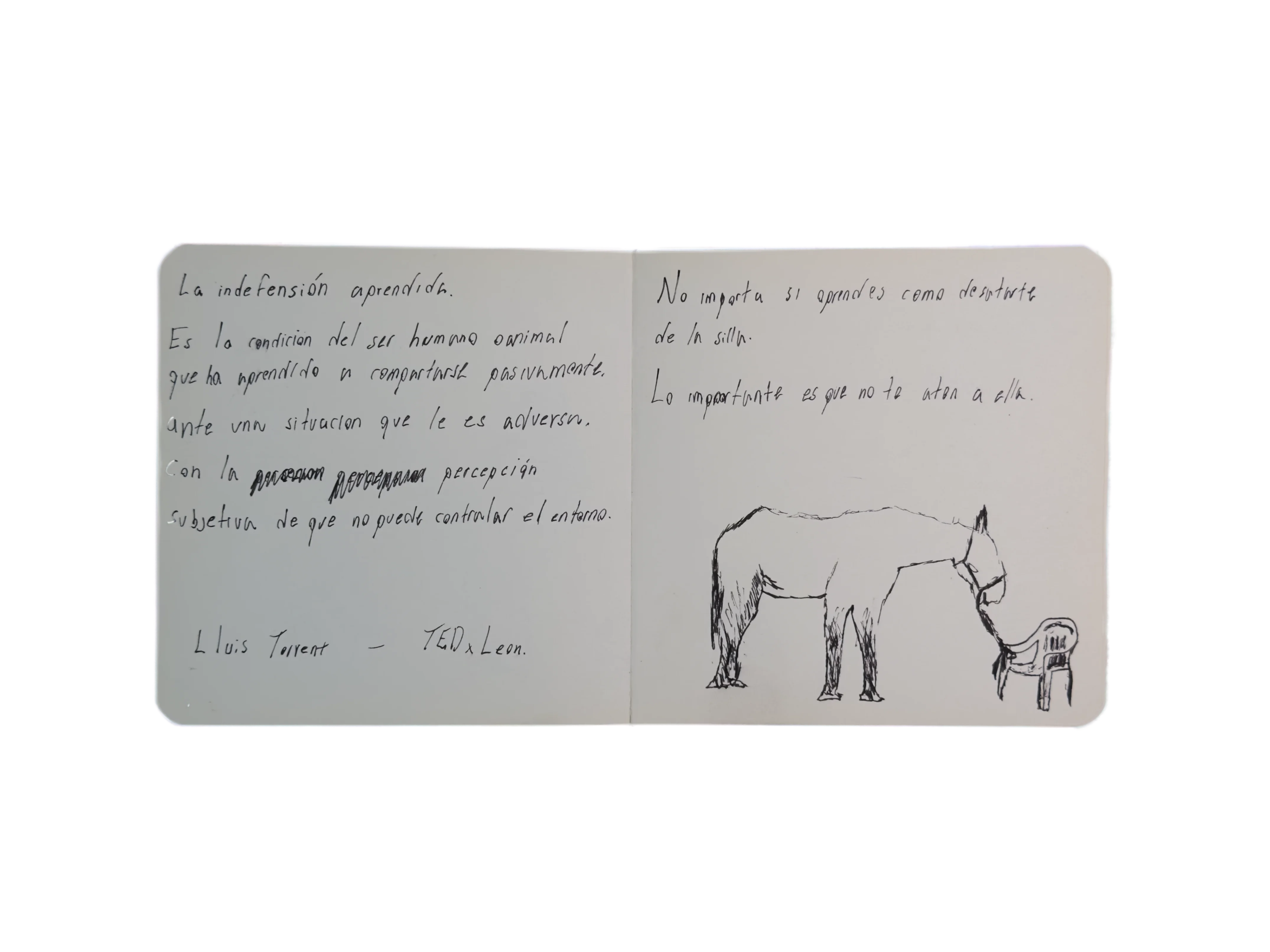 Página 17: El Caballo y la Silla de Plástico