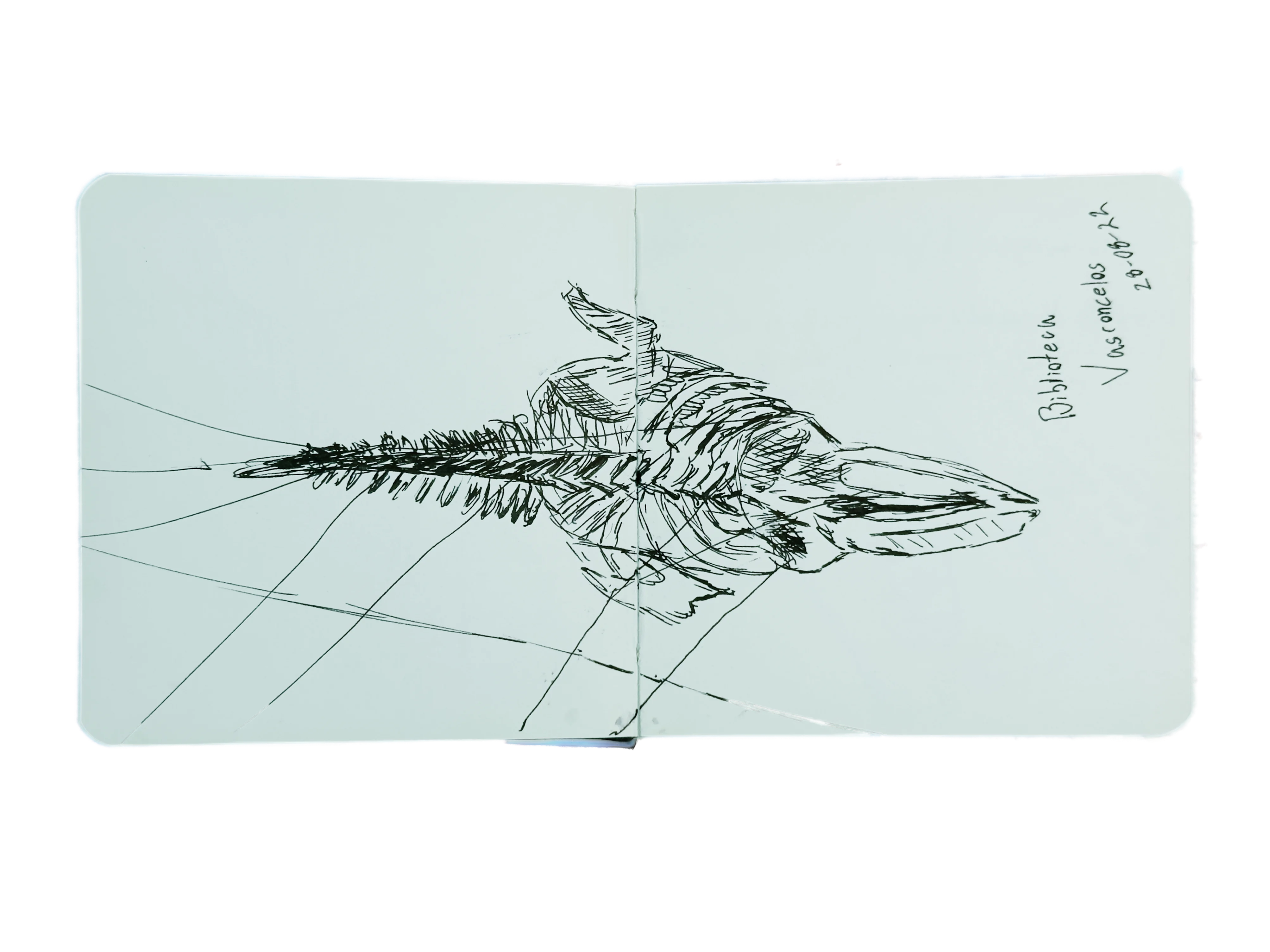 SketchBook 1 Pliego 2